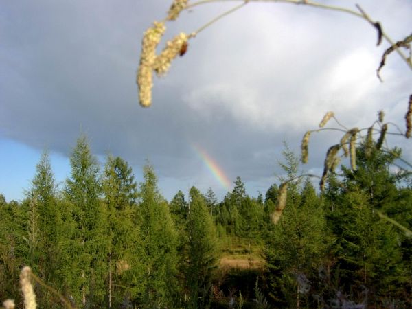 Это все дальний восток... (2) Это все дальний восток... (2)